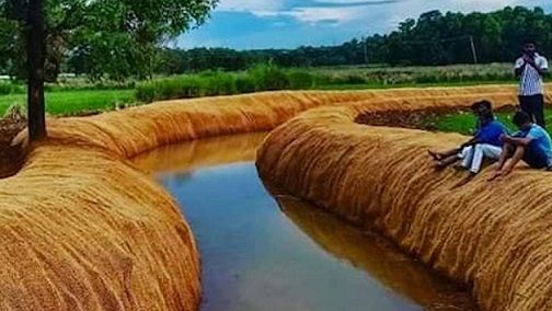 Coir Bhoovastra!! Coir geotextiles or coir blankets — Save canals from eroding