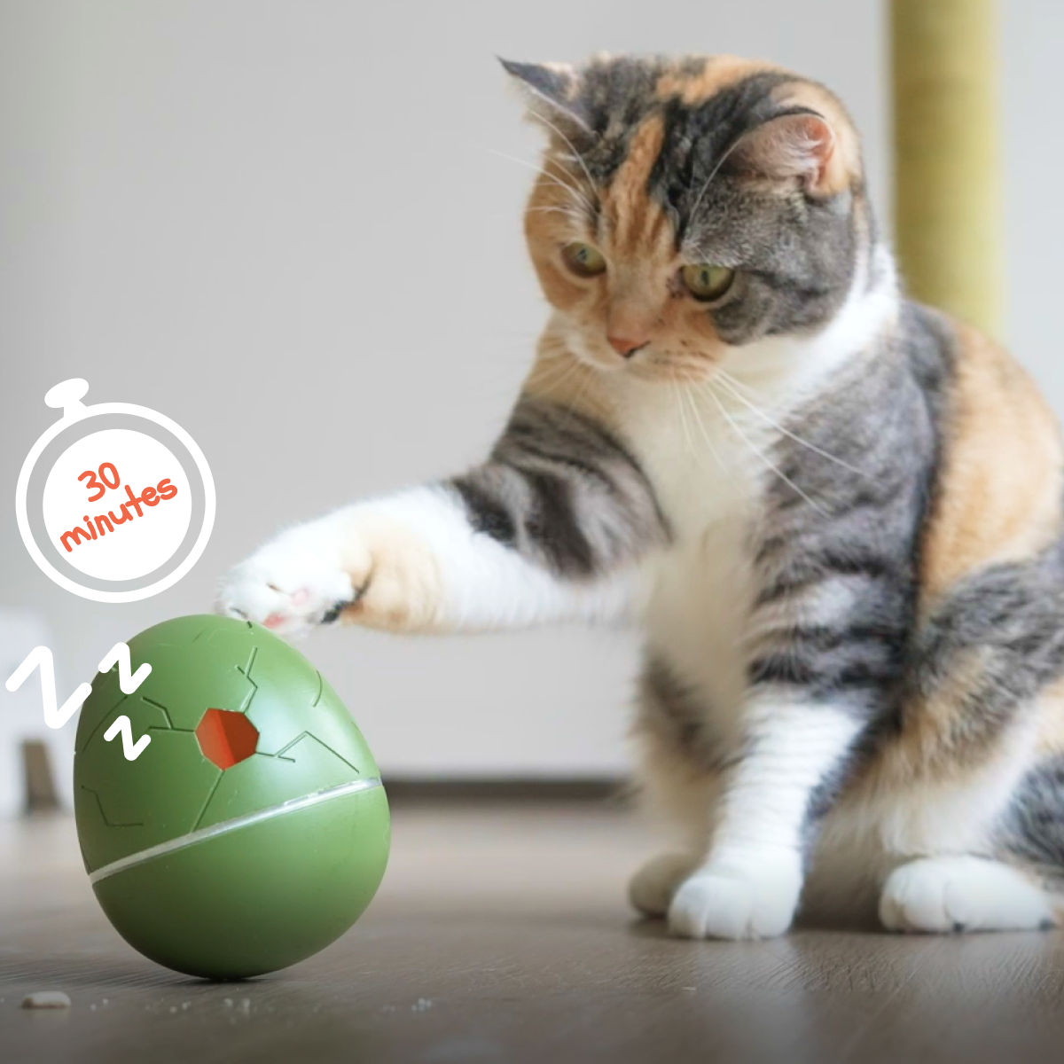 WICKED EGG — The only automatic interactive toy that Entertains and Rewards Your Pet. The smartest way to keep your pet happy & healthy when you’re away